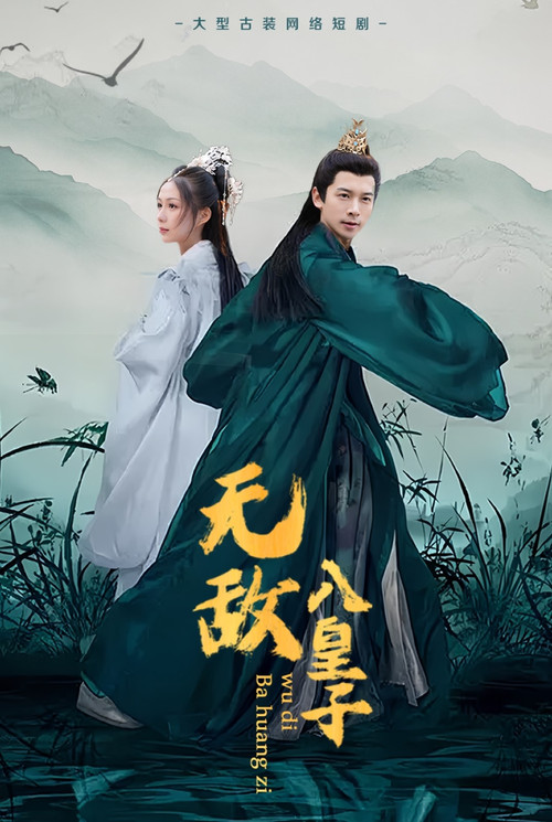 无敌八皇子电影海报
