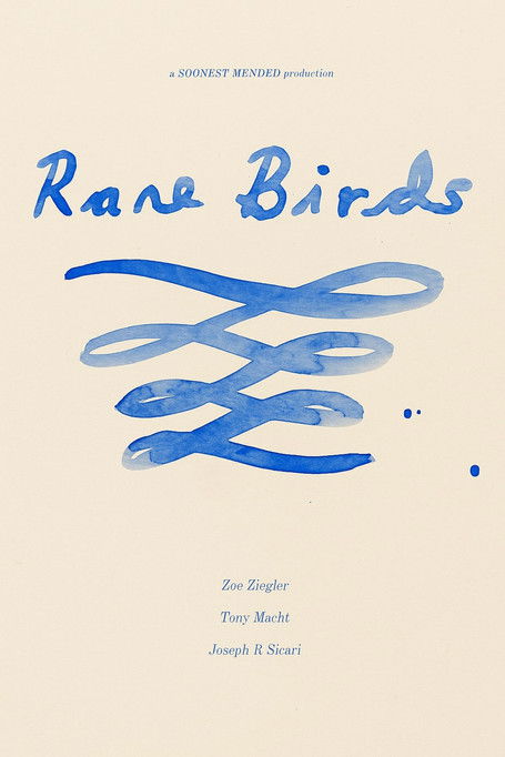 Rare Birds