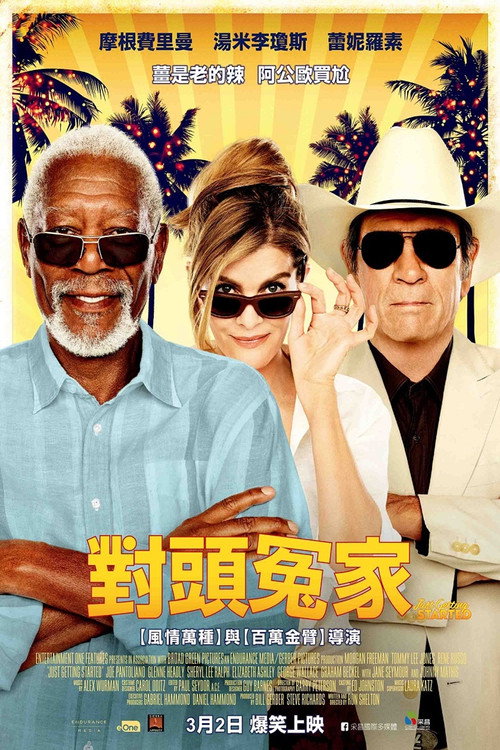 夕阳特工电影海报