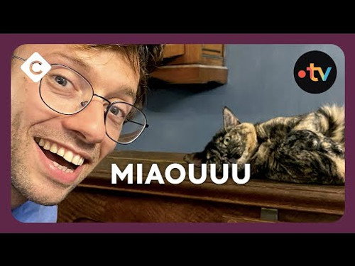 Episode 78