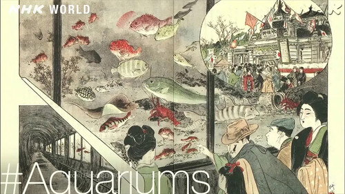 A Brief History [#Aquariums]