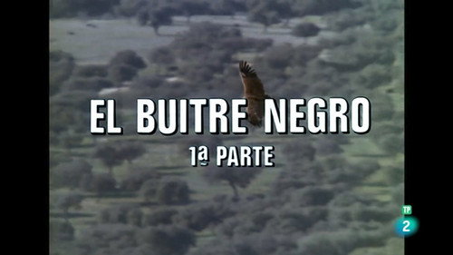 The Black Vulture I