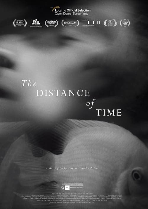 The+Distance+of+Time