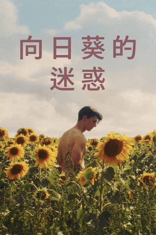向日葵电影海报