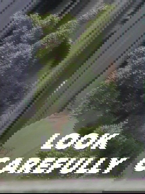 Look Carefully