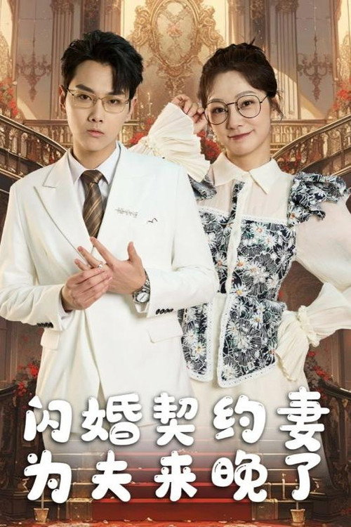 闪婚契约妻为夫来晚了电影海报
