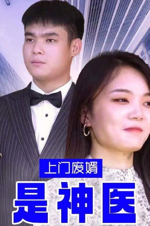 上门废婿是神医电影海报