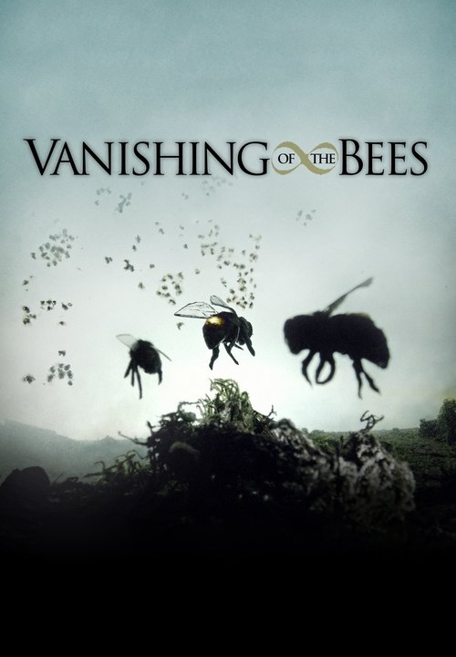 2009 Vanishing of the Bees Filme Online Grátis