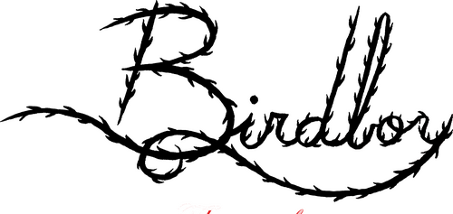 movies