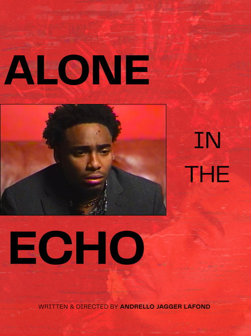 Alone in the Echo poster 2