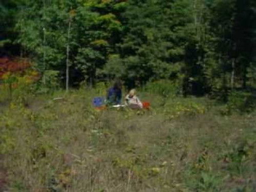 The Trail of No Return