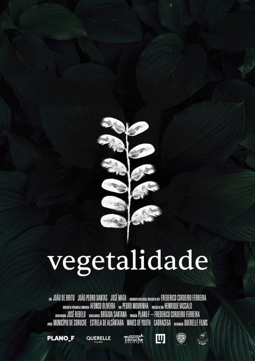 Vegetalidade poster 2