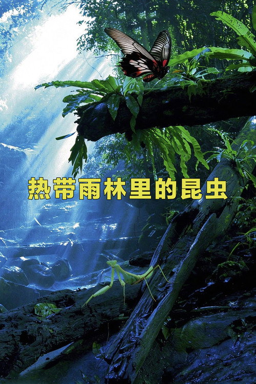 IMAX - 热带雨林里的昆虫电影海报