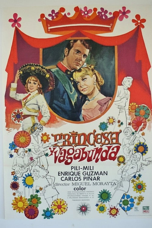 La princesa hippie poster 4