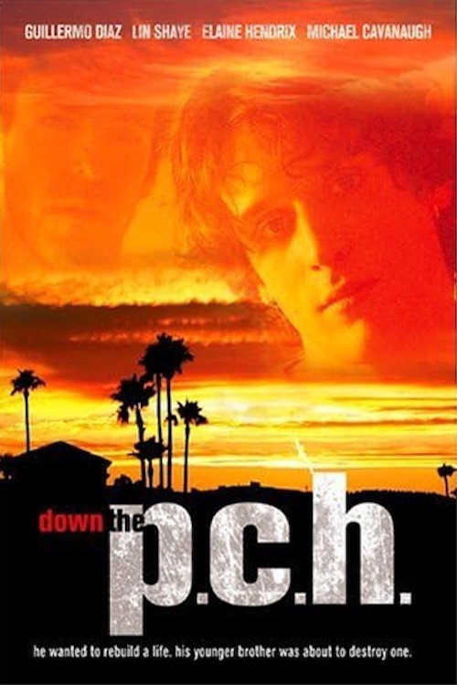 Down the P.C.H. poster 3