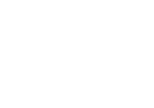 Tern TV Logo