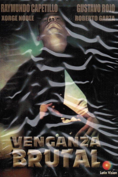 Venganza Brutal poster 3