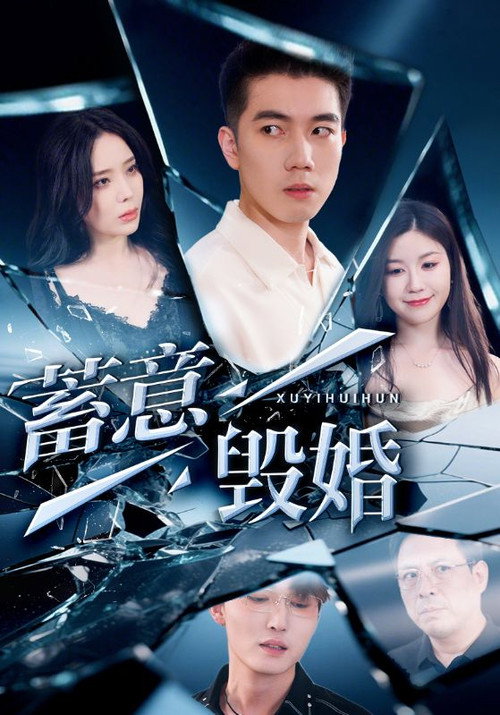 蓄意毁婚电影海报
