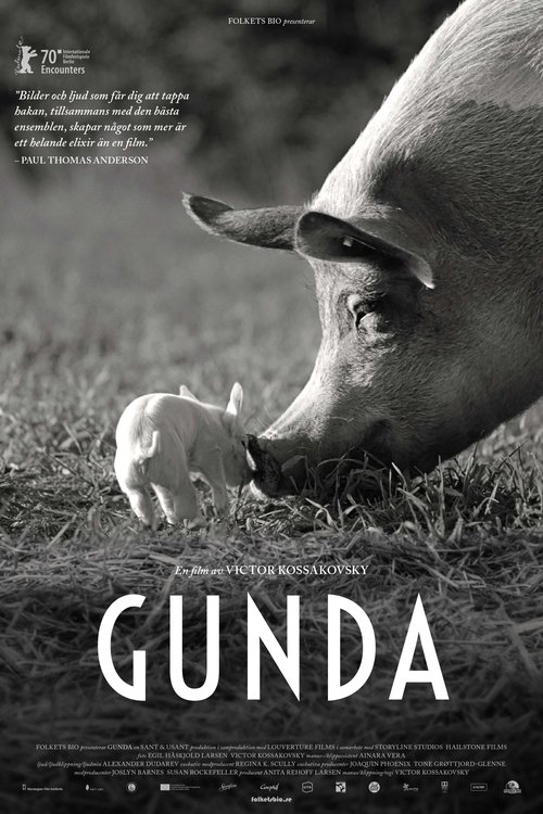 Gunda poster Gunda (2021) Online bästa kvalitet HD