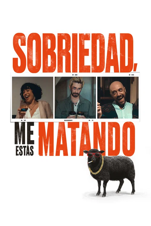 Dear Sobriety: You're Killing Me Poster