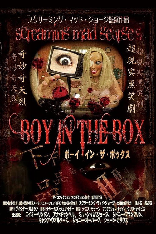 Boy In The Box poster 2