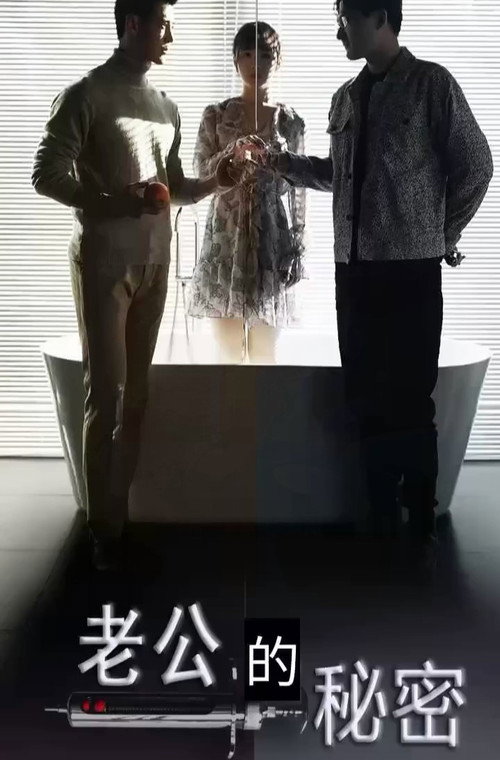 老公的秘密电影海报