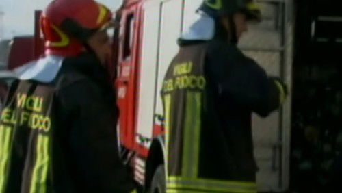 The head of the snake