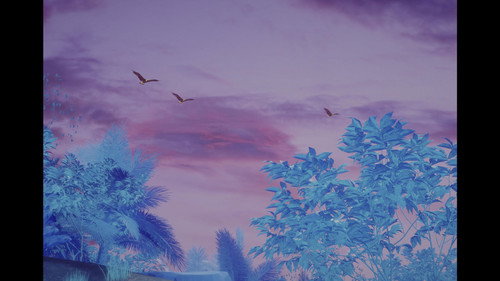 Backdrop