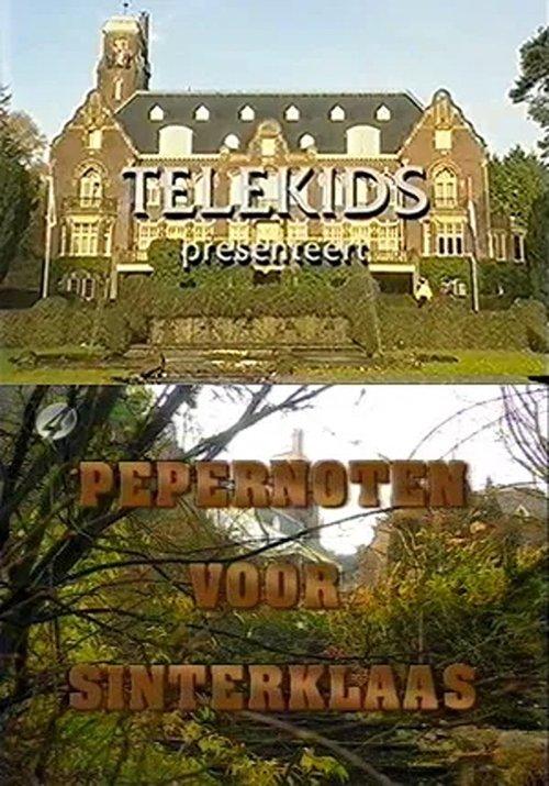 Pepernoten voor Sinterklaas Poster