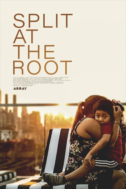 Split+at+the+Root