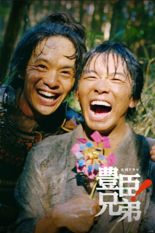 丰臣兄弟！电影海报