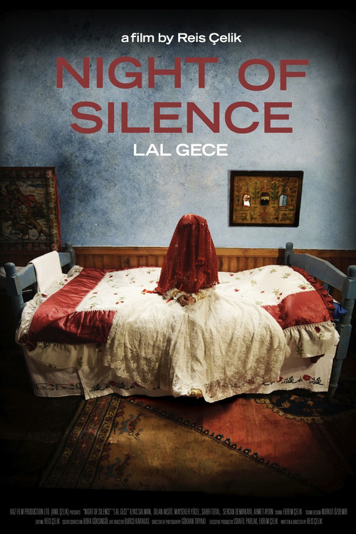 Night of Silence poster 5