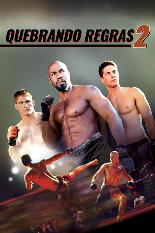 Quebrando Regras 2 (2011) Watch Full Movie Streaming Online
