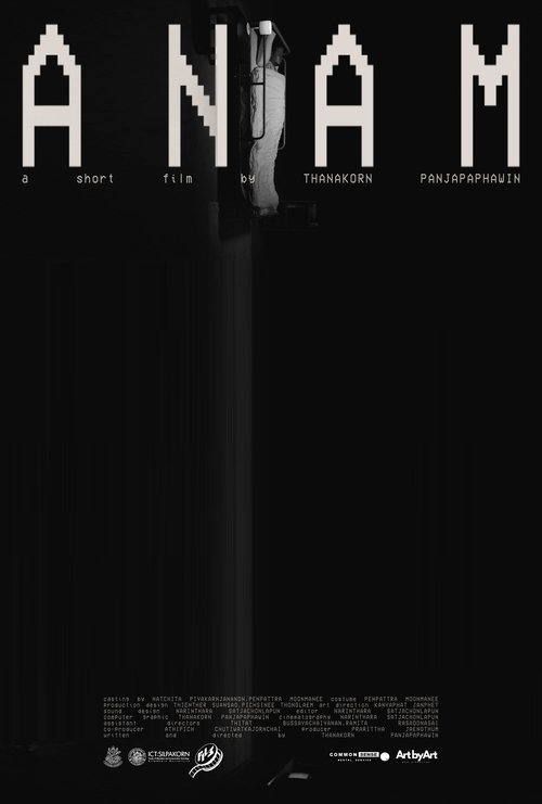 ANAM Poster