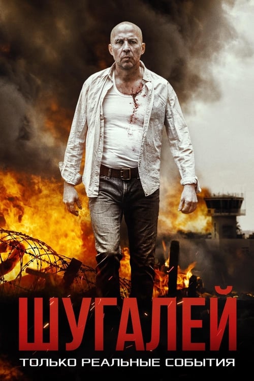 Шугалей 2020