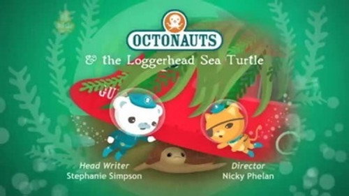 The Loggerhead Sea Turtle