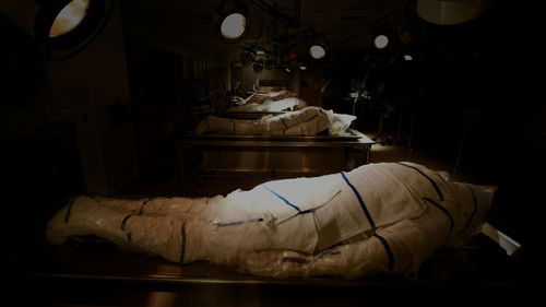 The First Patient (2018) Watch Full Movie Streaming Online