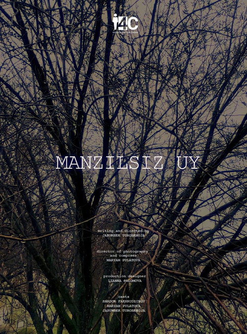Manzilsiz uy电影海报