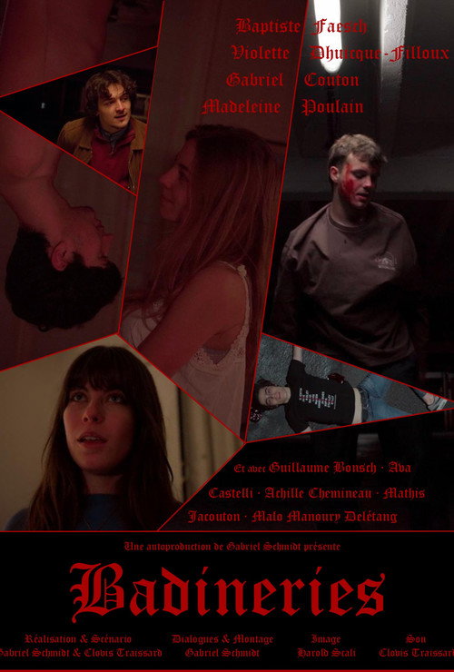 Badineries电影海报