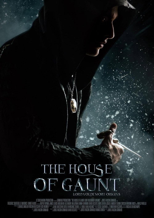 The House of Gaunt Poster
