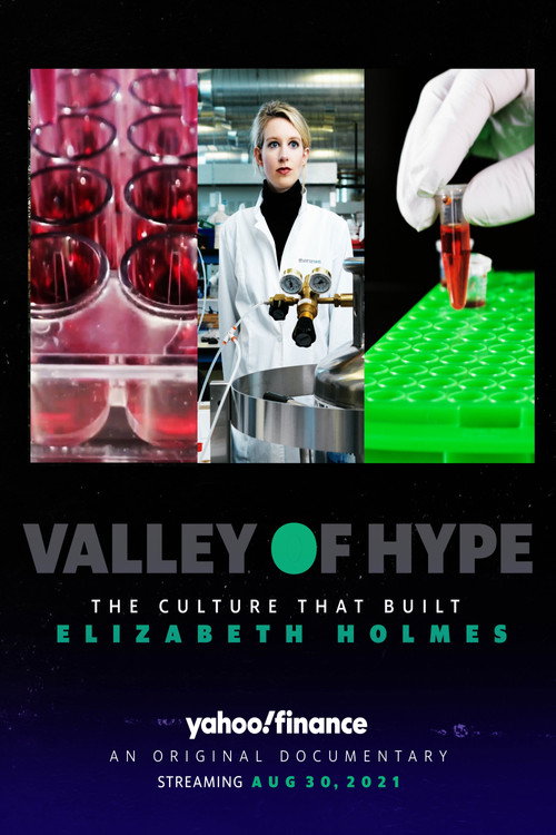 Valley of Hype: The Culture that Built Elizabeth Holmes Poster