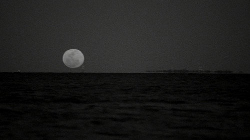 image74