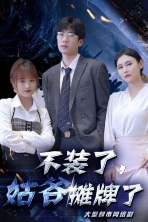 不装了，姑爷摊牌了电影海报