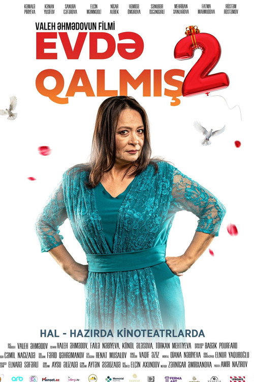 Spinster 2 poster 8