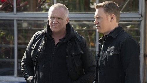 The Blacklist - Kardeşler