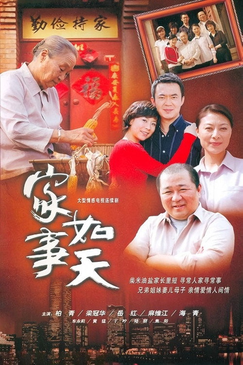 家事如天 (2007)电影海报