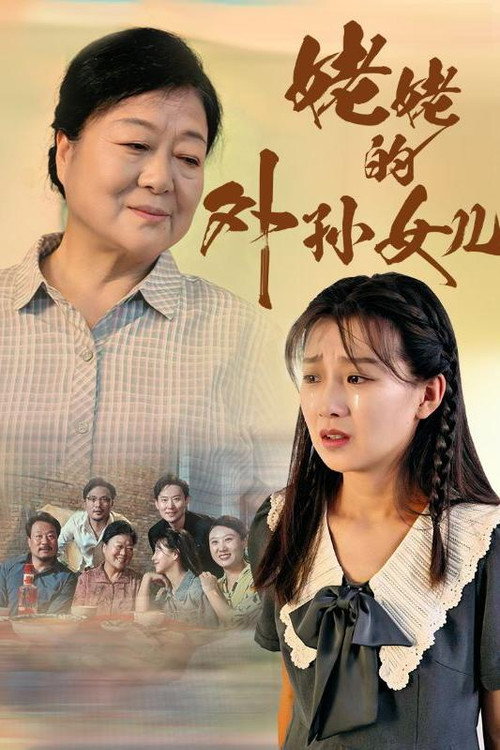 姥姥的外孙女儿海报