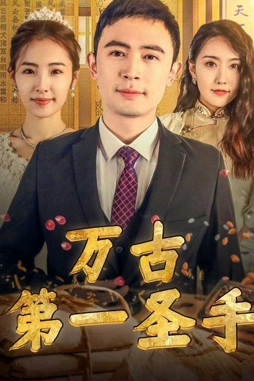 万古第一圣手电影海报