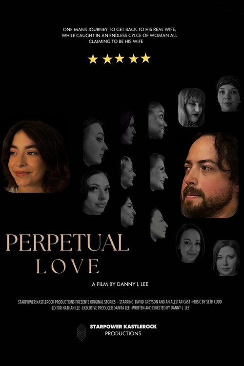 Perpetual Love poster 2