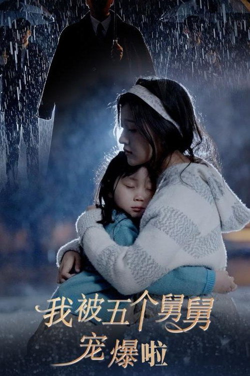 我被五个舅舅宠爆啦电影海报